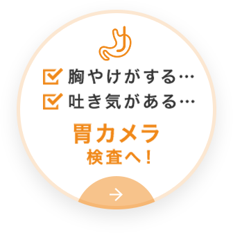 胸やけがする… 吐き気がある… 胃カメラ 検査へ！